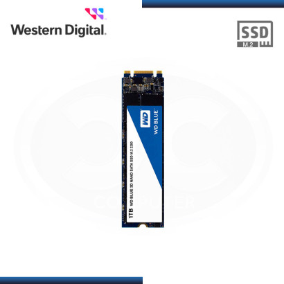 SSD 1TB 3D NAND 3D WD BLUE  M.2 2280 SATA (PN:WDS100T2B0B)