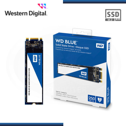 SSD 250GB WD BLUE 3D NAND GO M.2 2280 SATA (PN:WDS250G2B0B)