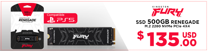 SSD 500GB KINGSTON FURY RENEGADE M.2 2280 NVMe PCIe (PN:SFYRS/500G)